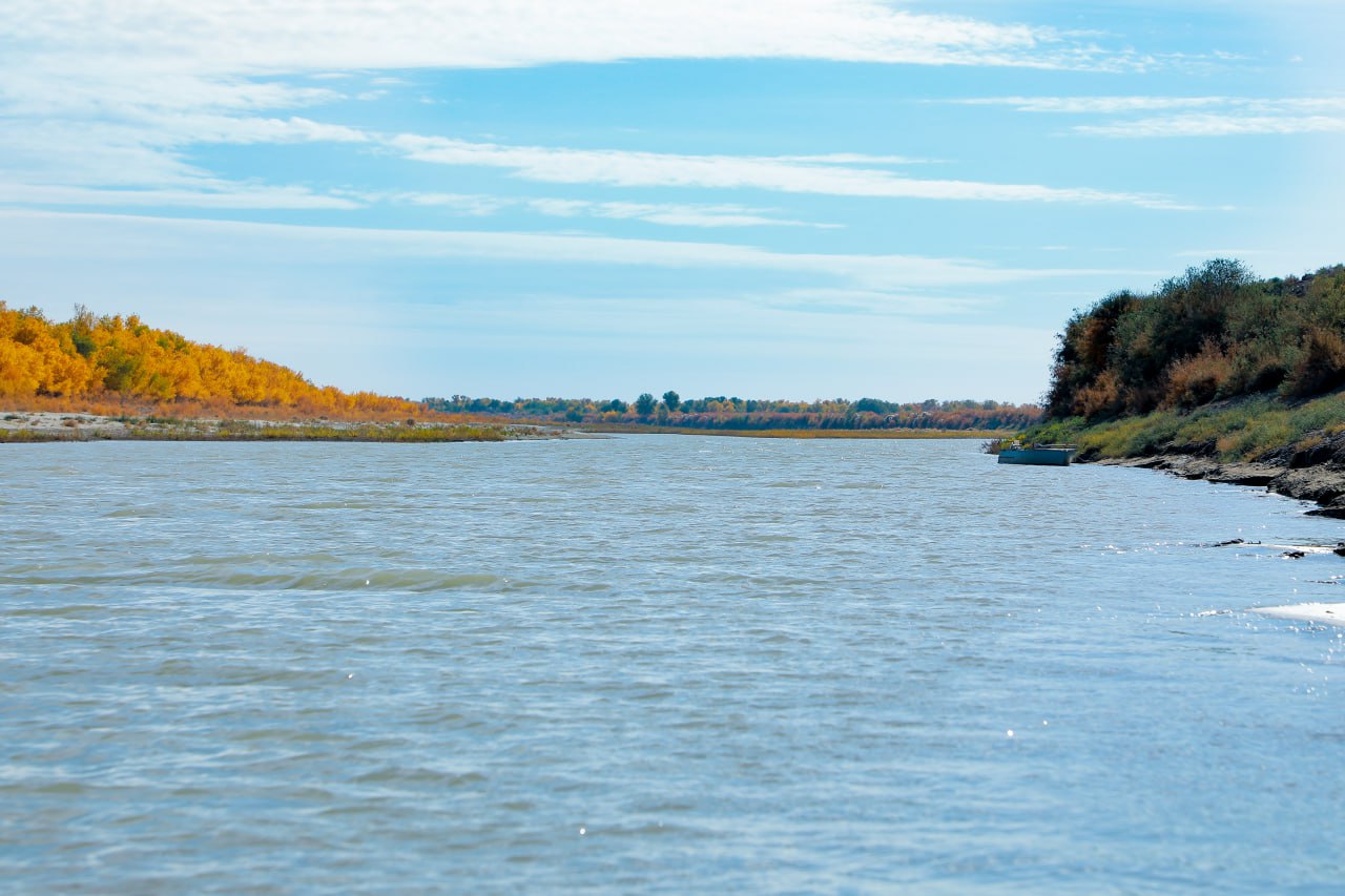 Water resource conservation and environmental protection as a priority of Uzbekistan-2030 strategy